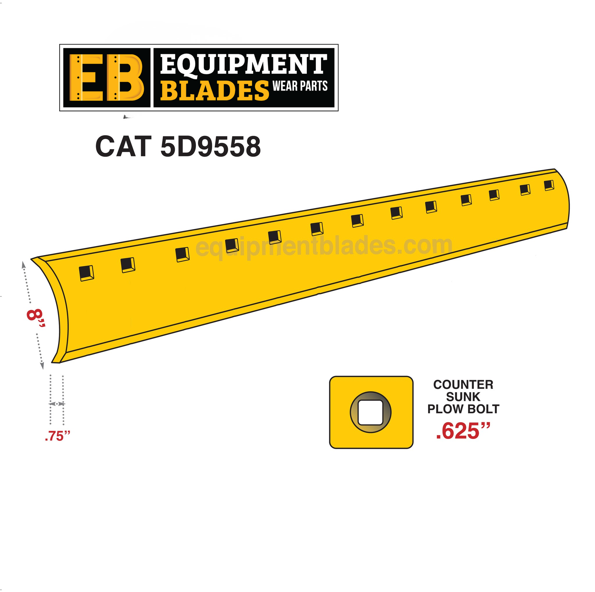 ライオン様/ED70 CAT_5D9558_b9e439c6-09b1-4707-